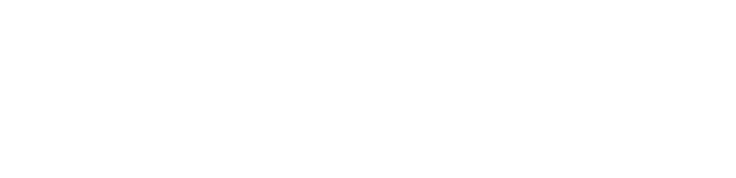 logo of the project